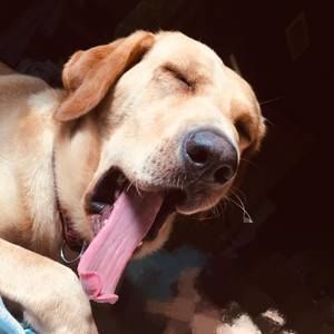 Meet your Posher, Ada